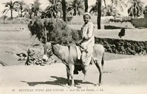 Pharcide: Native boy riding a donkey in Egypt