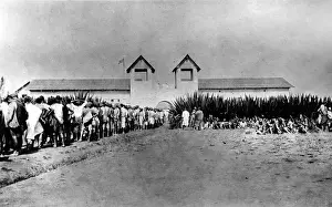 Cameroons: Native carriers, Fort Dschang, Cameroon, Africa, WW1