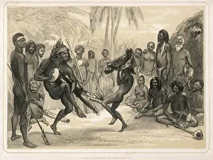 Darnley: NATIVE DANCE AUSTRALIA