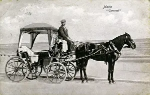 The Wentworth Collection: Native Horse & Carriage
