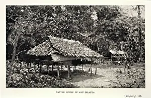 Moluccas: Native house in Aru
