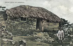 Bajan: Native Hut - Barbados