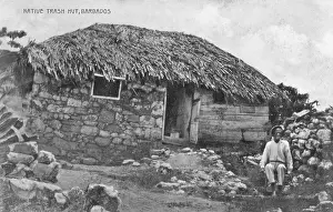 Bajan: Native Hut - Barbados