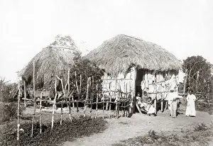 Rico: Native huts, Puerto Rico, circa 1900