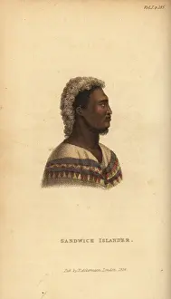 Kotzebue: Native man of Hawaii (Sandwich Islander)