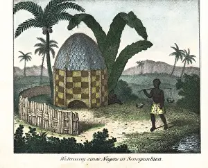 Senegambia: Native thatched hut under palm trees in Senegambia
