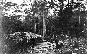 Cameroons: Native troops building shelters, Cameroon, Africa, WW1