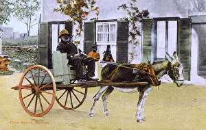 Spokes: Three Natives of Bermuda