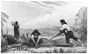 Plough: Natives of Chiloe using a breast plough. From