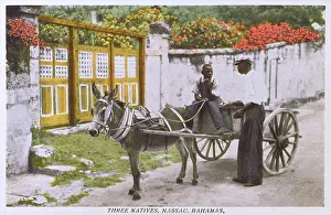 Bahamian: Three Natives of Nassau - Bahamas