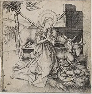 Schongauer: The Nativity