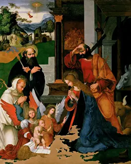 Fondazione Alinari Per La Fotografia: Nativity with Saints Albericus and Bernard