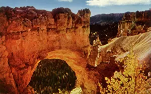 Ragged: Natural Bridge