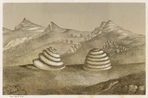 Wichita: NATURAL CYLINDERS