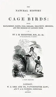 Caged: The Natural History of Cage Birds - Title Page