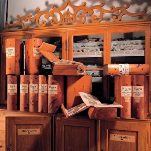 Strobl: Natural history collections of the monastery