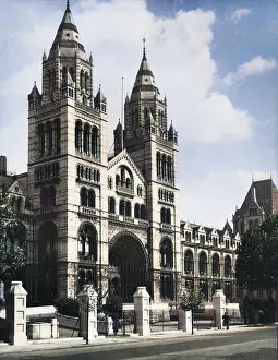 Ofcolourisedpic: NATURAL HISTORY MUSEUM