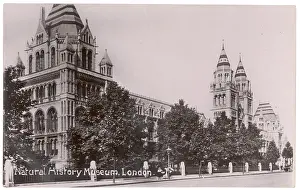 NATURAL HISTORY MUSEUM