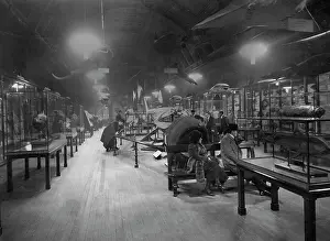 1911copy1: Natural History Museum