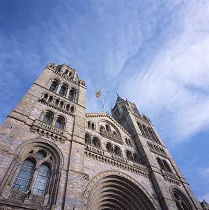 Cromwell: Natural History Museum, London