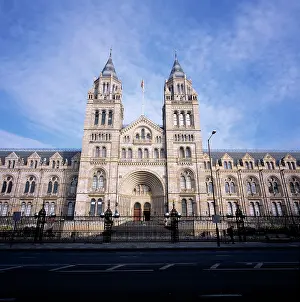 Cromwell: Natural History Museum, London