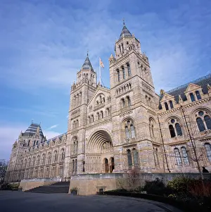 Cromwell: Natural History Museum, London