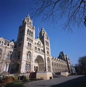 Cromwell: Natural History Museum, London