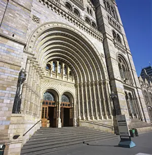Cromwell: Natural History Museum, London