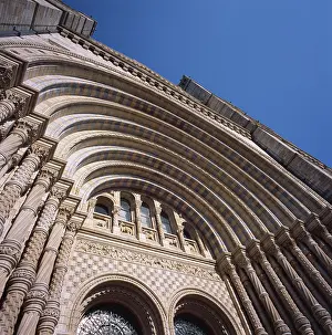 Cromwell: Natural History Museum, London