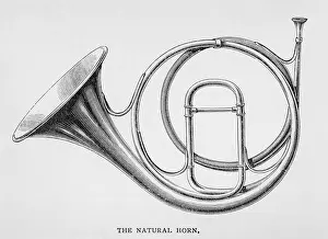 Coiled: Natural Horn on its Own