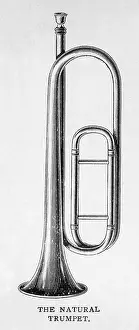 Octave: Natural Trumpet on Own