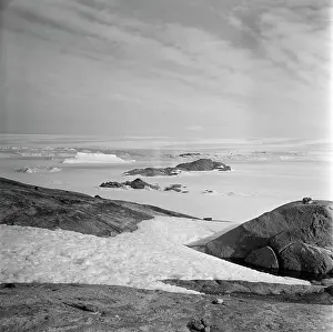 Koshevoy: Nature of Antarctica