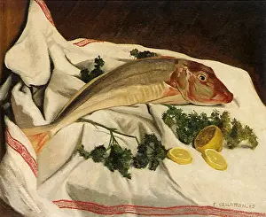 Morte: Nature Morte with Gurnard