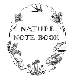 Illustrating: Nature Notebook with squirrel, salmon etc