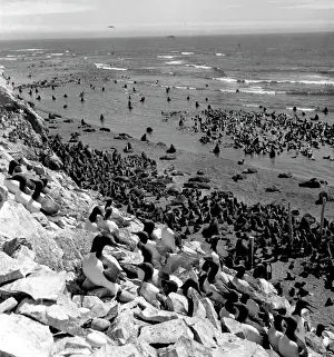 Sakhalin: Nature of Sakhalin Region