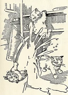 Spill: Three naughty kittens