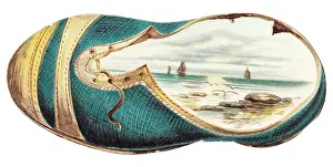Laceup: Nautical scene on a shoe-shaped greetings card