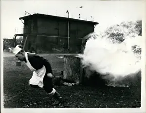 Fiftieth: Naval chef with burning galley stove, Navy Day rehearsal