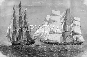 Brisk: NAVY STOPS SLAVER 1860