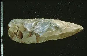 Neanderthal: Neanderthal spear point