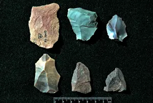 Neanderthalensis: Neanderthal stone tools