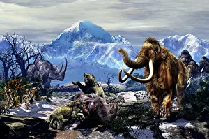 Mastodon: Neanderthals approach a group of Machairodontinae feeding ?