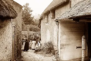 Ashburton: Near Ashburton, devon