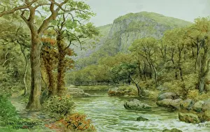 Watersmeet: Near Watersmeet, Lynmouth, Devon