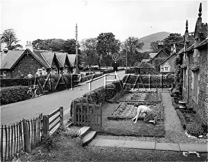 Lanarkshire: NEAT SCOTTISH GARDEN
