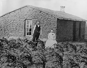 Homestead: Nebraskan Sod House, c. 1880