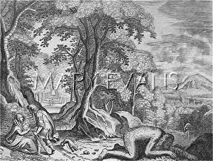 Nebuchadnezzars: NEBUCHADNEZZAR'S MADNESS