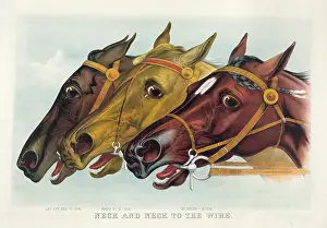 C1884: Neck and neck to the wire