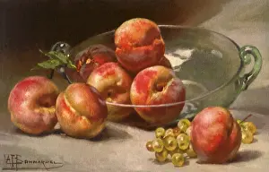 Nectarines: Nectarines and Grapes