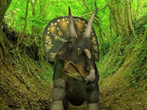 Diceratops: A Nedoceratops wanders a Cretaceous forest
